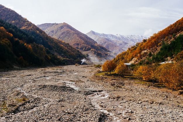 Inspirierende magische Natur, Berge und Pisten sind mit Bäumen bedeckt, Herbstnatur