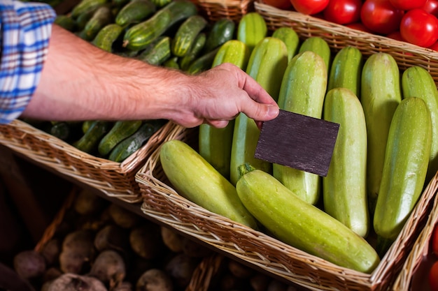 Instalação de etiqueta de preço na medula vegetal.