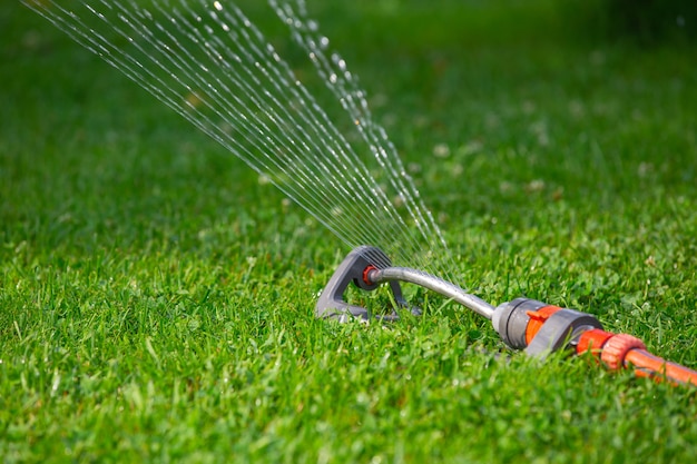 instalación para riego por lluvia del césped día de verano