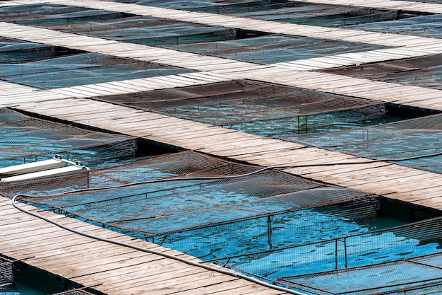 Instalaciones de acuicultura con jaulas de peces en una piscifactoría