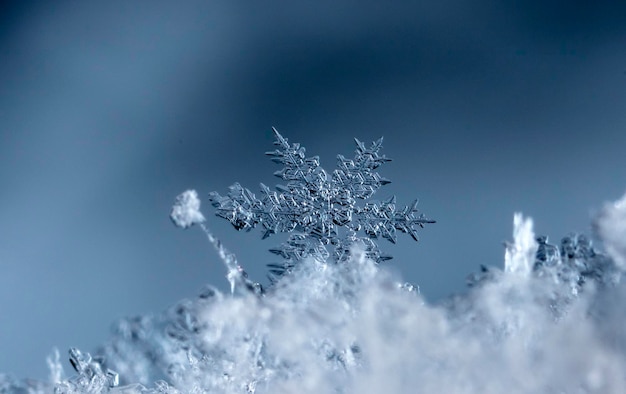 Instantánea de un pequeño copo de nieve tomada durante una nevada Vacaciones de invierno y fondo de Navidad