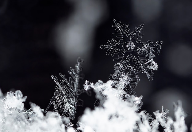 Instantánea de un pequeño copo de nieve tomada durante una nevada