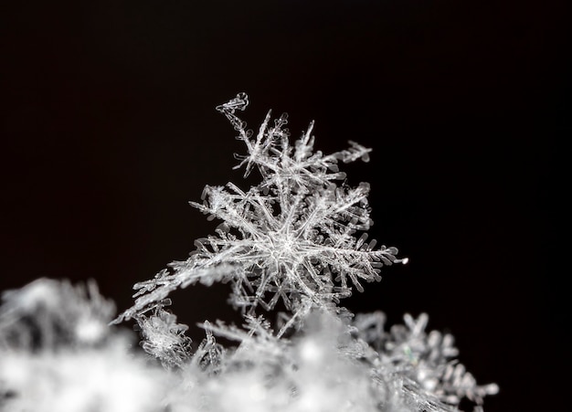 Instantánea de un pequeño copo de nieve tomada durante una nevada