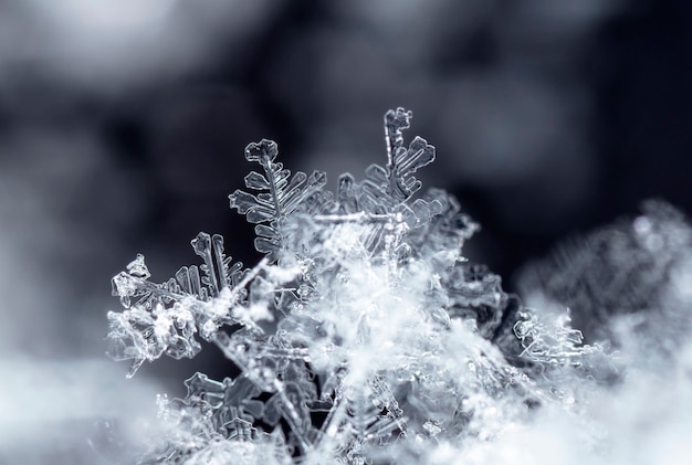 Instantánea de un pequeño copo de nieve tomada durante una nevada