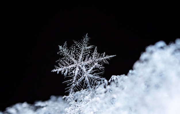 Instantánea de un pequeño copo de nieve tomada durante una nevada