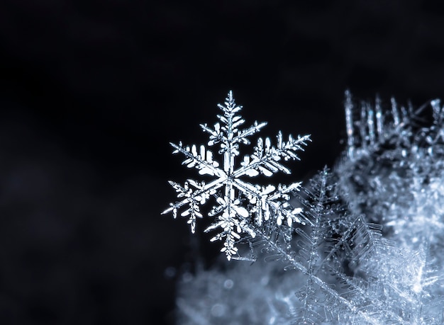 instantâneo de um pequeno floco de neve tirado durante uma nevasca