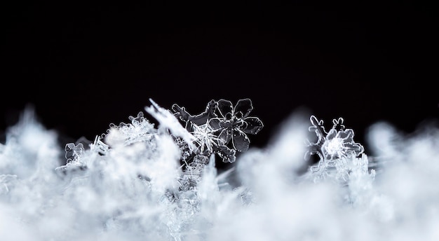 instantâneo de um pequeno floco de neve tirado durante uma nevasca