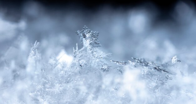 instantâneo de um pequeno floco de neve tirado durante uma nevasca