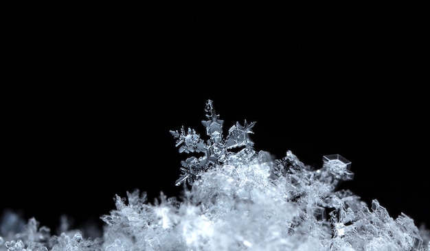 instantâneo de um pequeno floco de neve tirado durante uma nevasca