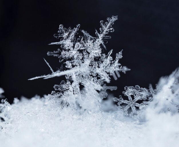 instantâneo de um pequeno floco de neve tirado durante uma nevasca