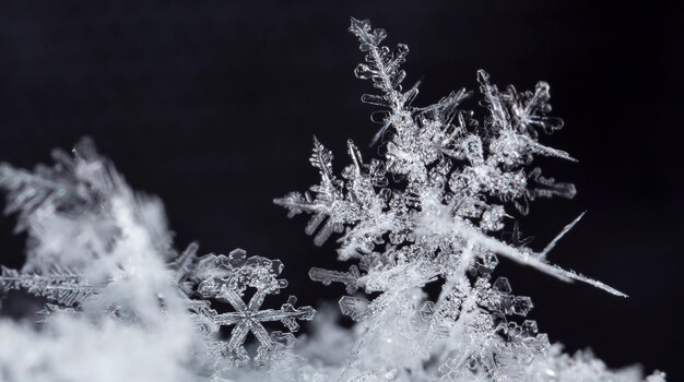 instantâneo de um pequeno floco de neve tirado durante uma nevasca