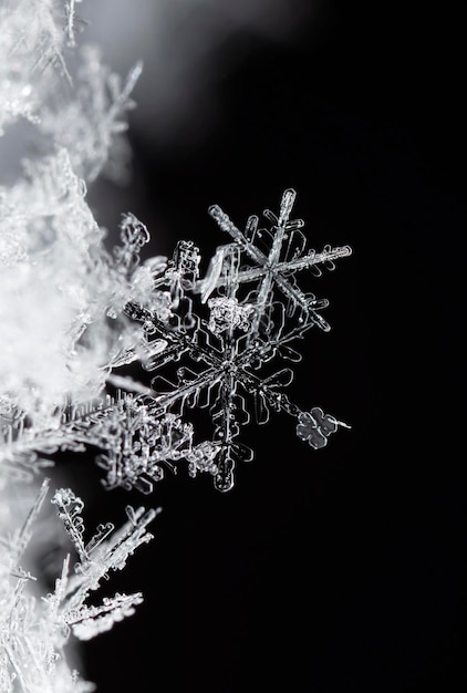 instantâneo de um pequeno floco de neve tirado durante uma queda de neve