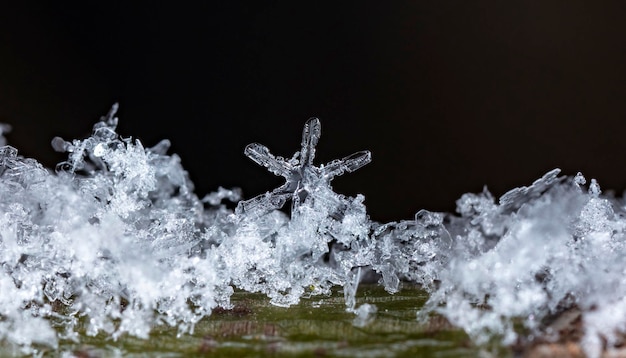 instantâneo de um pequeno floco de neve tirado durante uma queda de neve