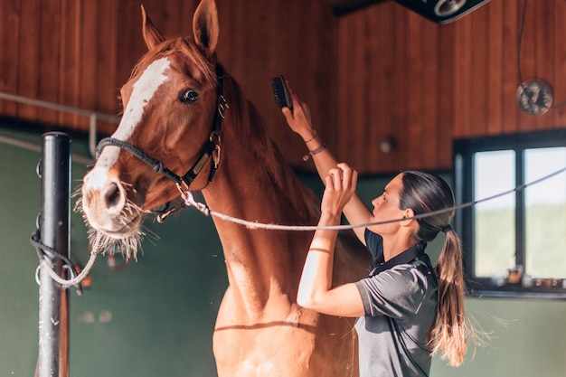 Instructora jinete cuidando pura raza en la actividad diaria de la yegua de cría de la granja de caballos