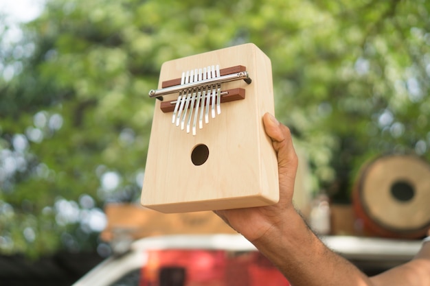 Instrumento africano étnico de madera Kalimba