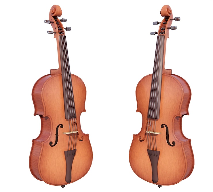 Foto instrumento de cordas para violoncelo