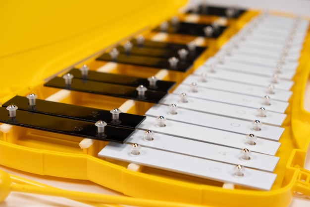 Foto instrumento musical de percussão metalófono com placas metálicas de perto