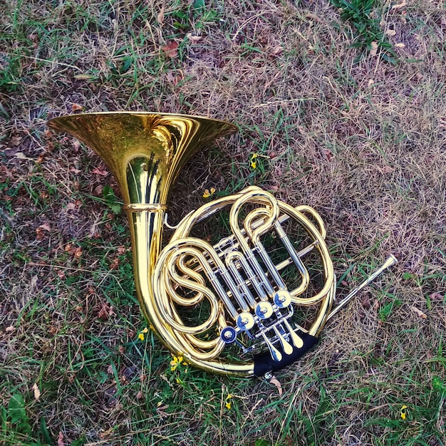 Foto instrumento musical trompa yace sobre la hierba