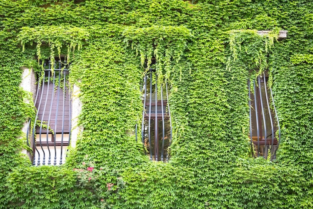 Integração da natureza e do imobiliário neste antigo edifício italiano