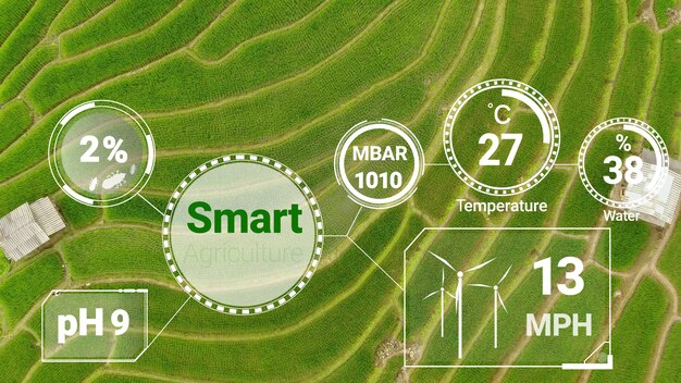 Intelligente digitale Landwirtschaftstechnologie durch futuristisches Sensordatenerfassungsmanagement durch künstliche Intelligenz zur Kontrolle der Qualität des Pflanzenwachstums und der Ernte. Computergestütztes Plantagen-Wachstumskonzept.