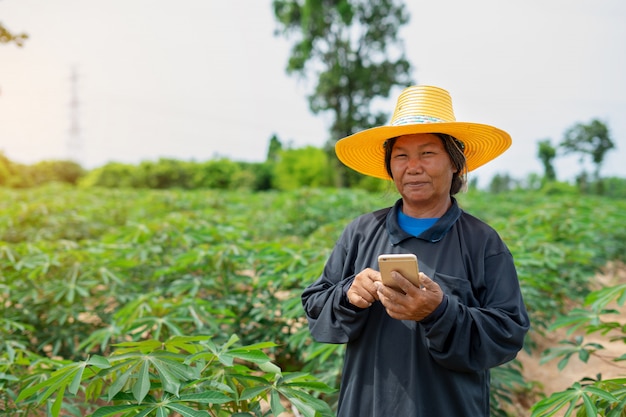 Intelligenter Frauenlandwirt, der die Tablette steht auf dem Maniokgebiet für die Prüfung ihres Maniokafeldes hält. Landwirtschaft und Smart Farmer Erfolgskonzept