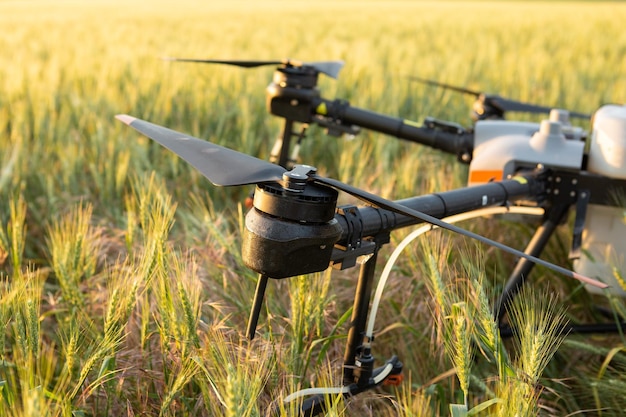 Intelligentes Farmkonzept für Agrartechnologie Landwirttechniker fliegen landwirtschaftliche Drohnen aus der Ferne, um zu fliegen, um Dünger auf Felder zu sprühen