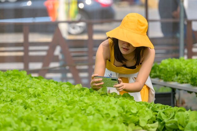 Intelligentes Konzept für Landwirtschaft, Landwirtschaft und Sensortechnologie. Bauernhand mit Smartphone zur Überwachung von Temperatur, Luftfeuchtigkeit, Druck und Bodenlicht in der Erdbeerfarm.