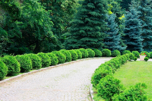 Foto interesante jardín con adoquines en el suelo.