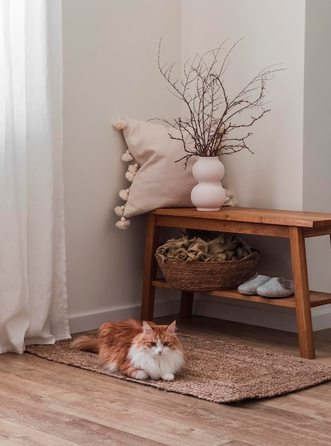 Foto interior aconchegante do banco da sala de estar com um travesseiro decorativo um vaso com galhos secos um gato vermelho em um tapete de juta conceito de casa aconchugante