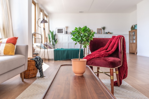 Interior de apartamento estudio vintage en colores claros en estilo antiguo