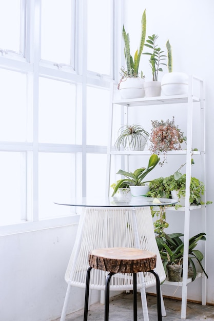 Interior blanco minimalista con plantas caseras en rack mini juego de mesa y silla e iluminación