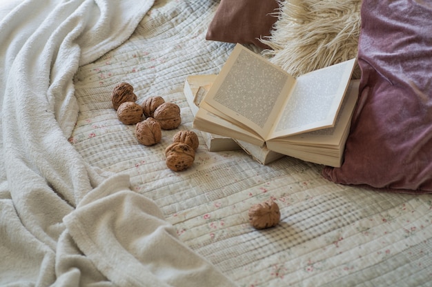 Interior cálido de la sala de estar con un libro abierto con nueces. Leer, descansar. concepto de fin de semana de invierno. Acogedor concepto de otoño o invierno.