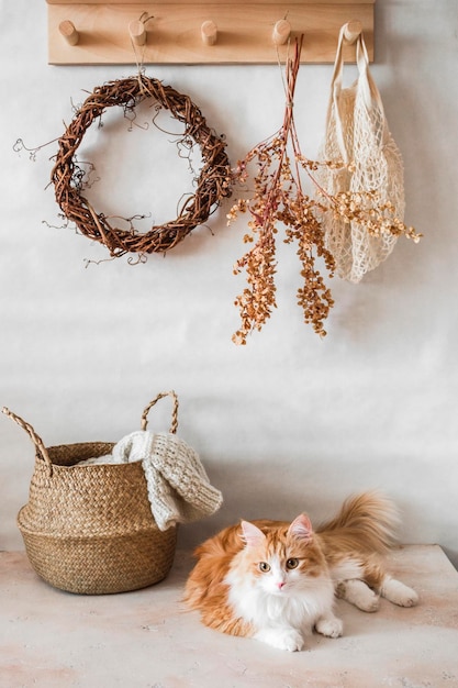 Interior de la casa de la cesta del pasillo con una manta tejida gato rojo un estante de madera con una composición de otoño de corona de vid