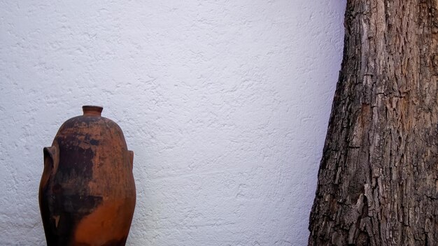 Interior de la casa gilardi del famoso arquitecto luis barragan patio central con esferas de piedra y jacarandá