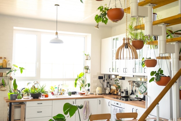 El interior de una cocina blanca con una escalera de metal en una cabaña con plantas en macetas en jardineras colgantes Casa verde en un estilo moderno