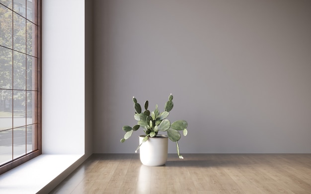 Interior com plantas decorativas no fundo da parede vazia Ilustração 3D cg render