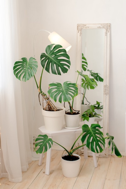Interior da casa em estilo boho
