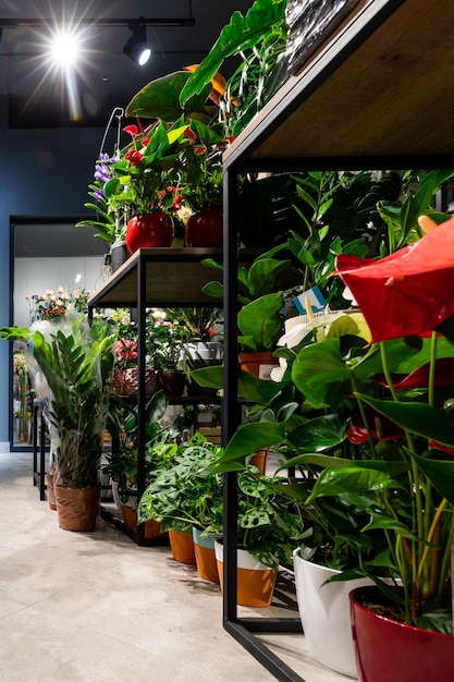 Interior da loja de flores estilo loft com vasos de plantas