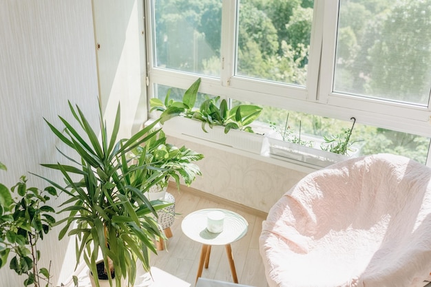 interior da varanda em cores brilhantes com plantas em casa e uma grande poltrona