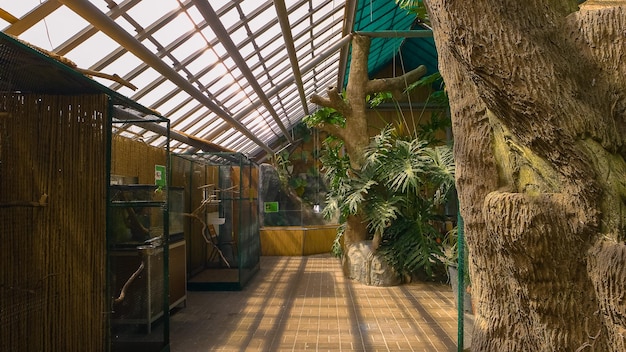 Interior do zoológico com pássaros exóticos nas plantas decorativas de gaiolas internas e árvores dentro do tropical z