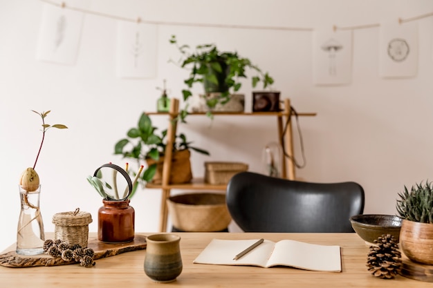 Foto interior elegante de escritório doméstico com mesa de madeira, acessórios florestais, planta de abacate, prateleira de bambu, plantas e decoração de vime