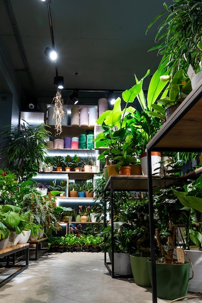 Foto interior elegante no estilo de uma loja de flores loft com vasos de plantas nas prateleiras