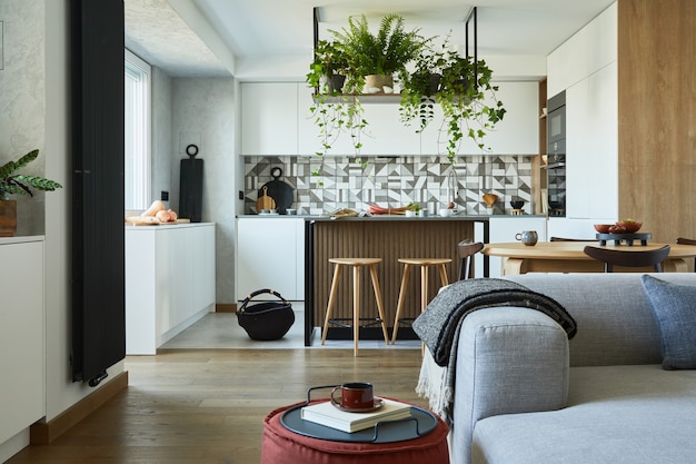 Interior elegante de la sala de estar con sofá gris Plantilla de concepto de amor de planta y estilo minimalista