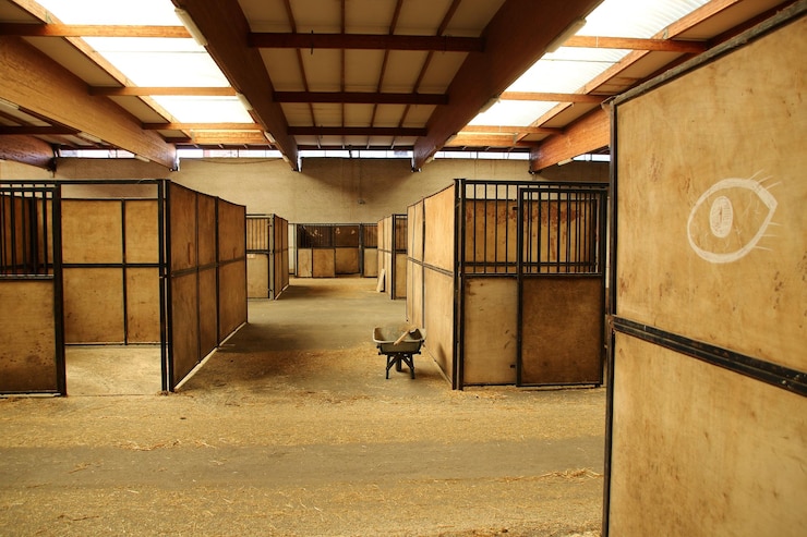 Foto interior del establo