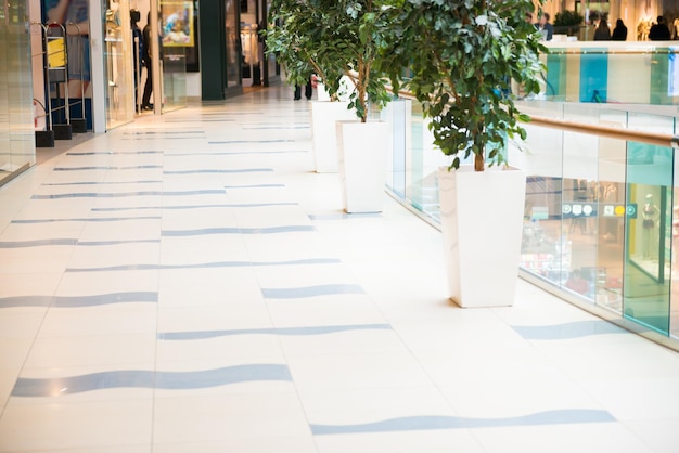 Interior futurista de centro comercial moderno con plantas verdes