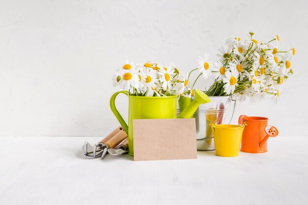 Interior del hogar y concepto de jardín con flores de verano en un cubo de metal