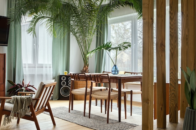 Interior hogareño escandinavo moderno de sala de estar con muebles de diseño retro, plantas tropicales, ventanas y decoración y elegantes accesorios personales en una elegante decoración para el hogar