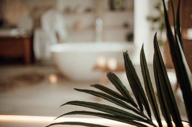 Foto interior de lujo de un gran baño de estilo africano moderno con bañera ovalada con iluminación natural