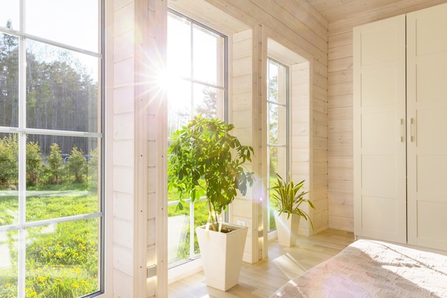 Interior luminoso de la habitación en una casa de madera con un gran ventanal que da al patio de verano. Paisaje de verano en ventana blanca. Concepto de hogar y jardín. Planta de interior Sansevieria trifasciata