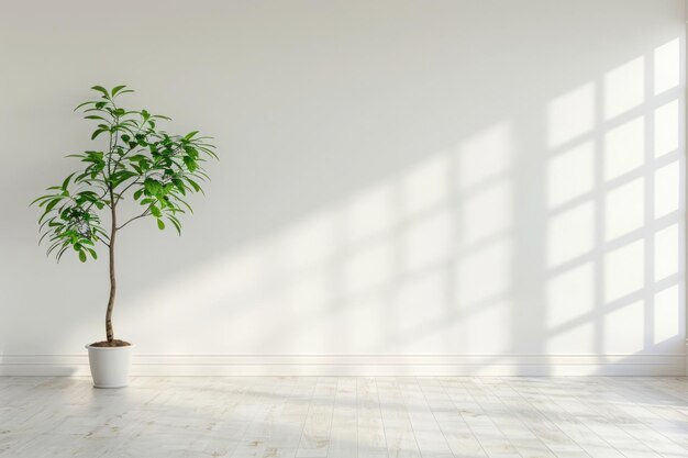 Interior minimalista con pared blanca vacía y planta de la casa